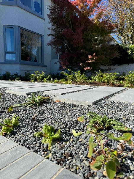 Photo of Ballinlough House project with limestone stepping stone to main entrance and Japanese Maple Tree in the background