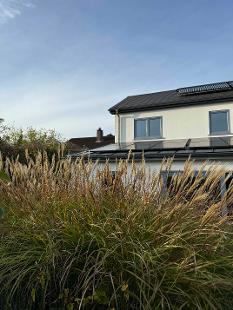 Piggery Garden with Miscanthus grasses and white house and blue sky in the background